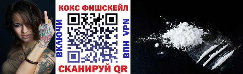Купить закладки  Нижний Ломов  Кокаин FishScale 