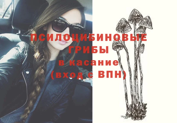 мескалин Горно-Алтайск