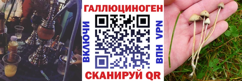Купить  Нижний Ломов  Галлюциногенные грибы мухоморы 